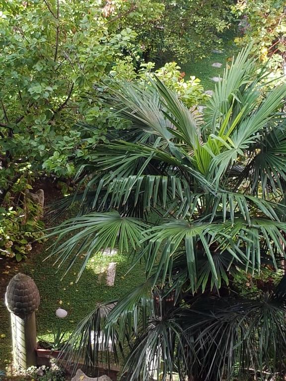 Appartamento Garden Ca' Rezzonico Venedig Exteriör bild